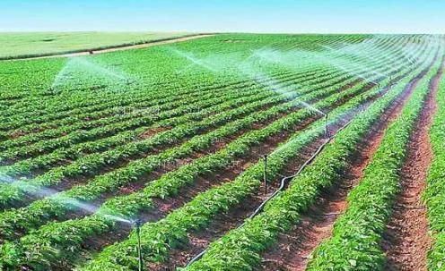 多人插逼视频农田高 效节水灌溉